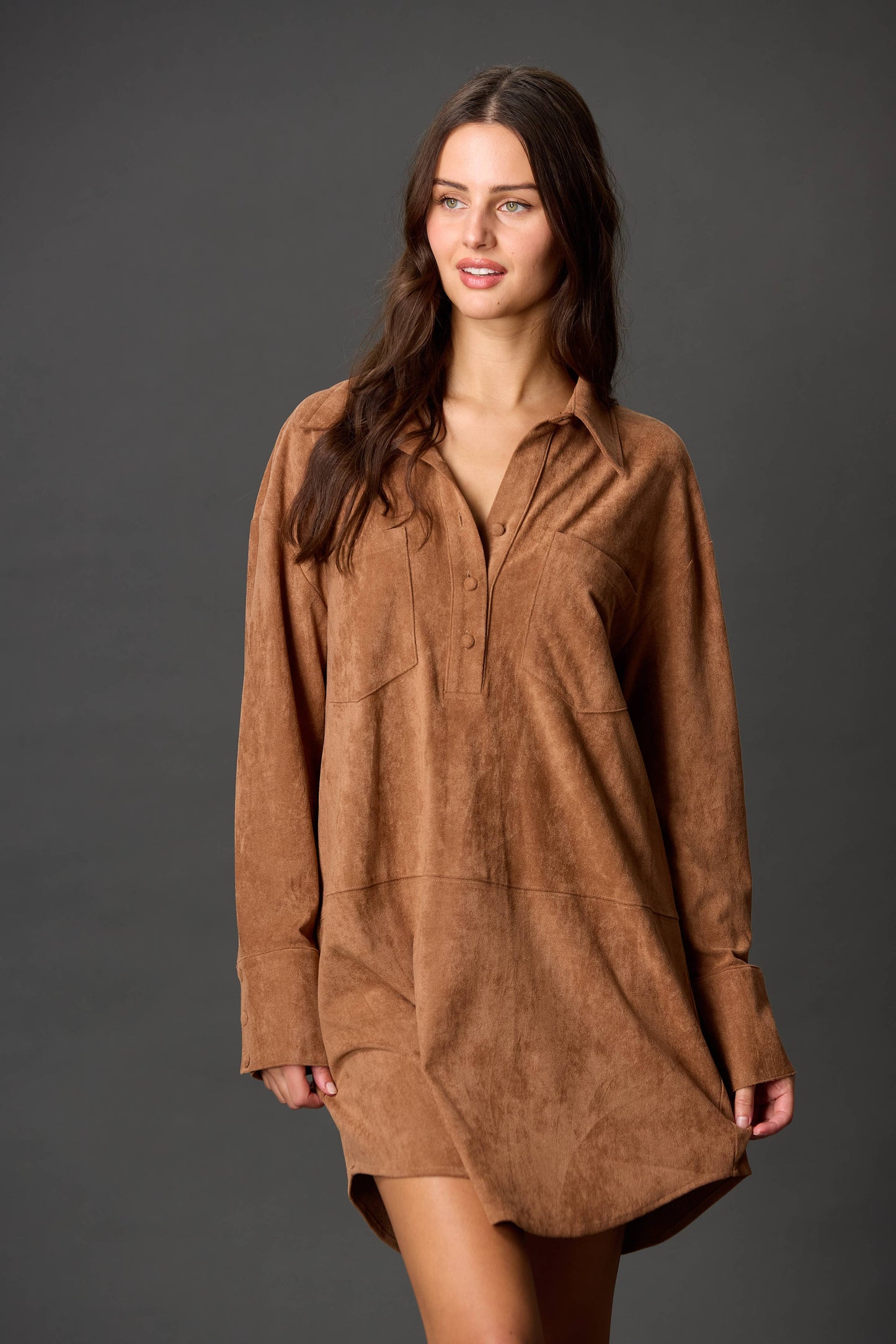 Suede Button Down Mini Dress