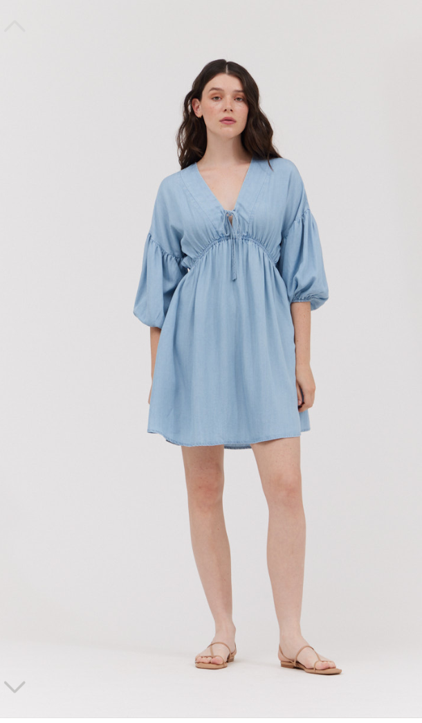 Chambray Mini Dress