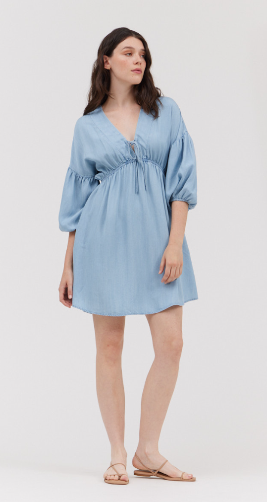 Chambray Mini Dress