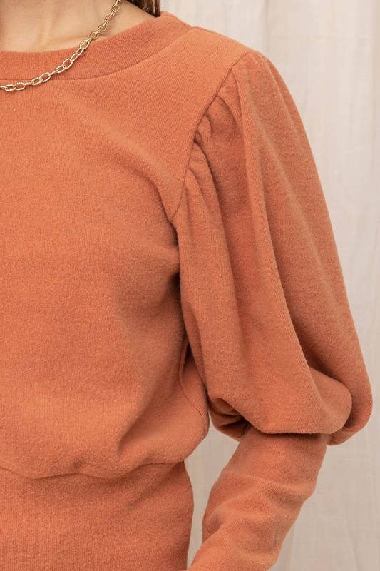 Brushed Puff Sleeve Top