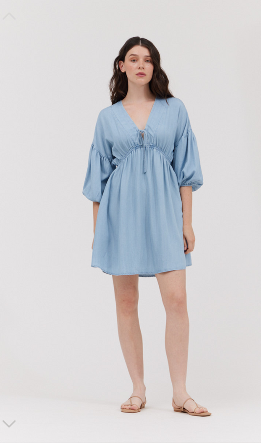 Chambray Mini Dress