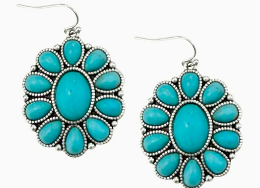 Ponch Turquoise Earrings