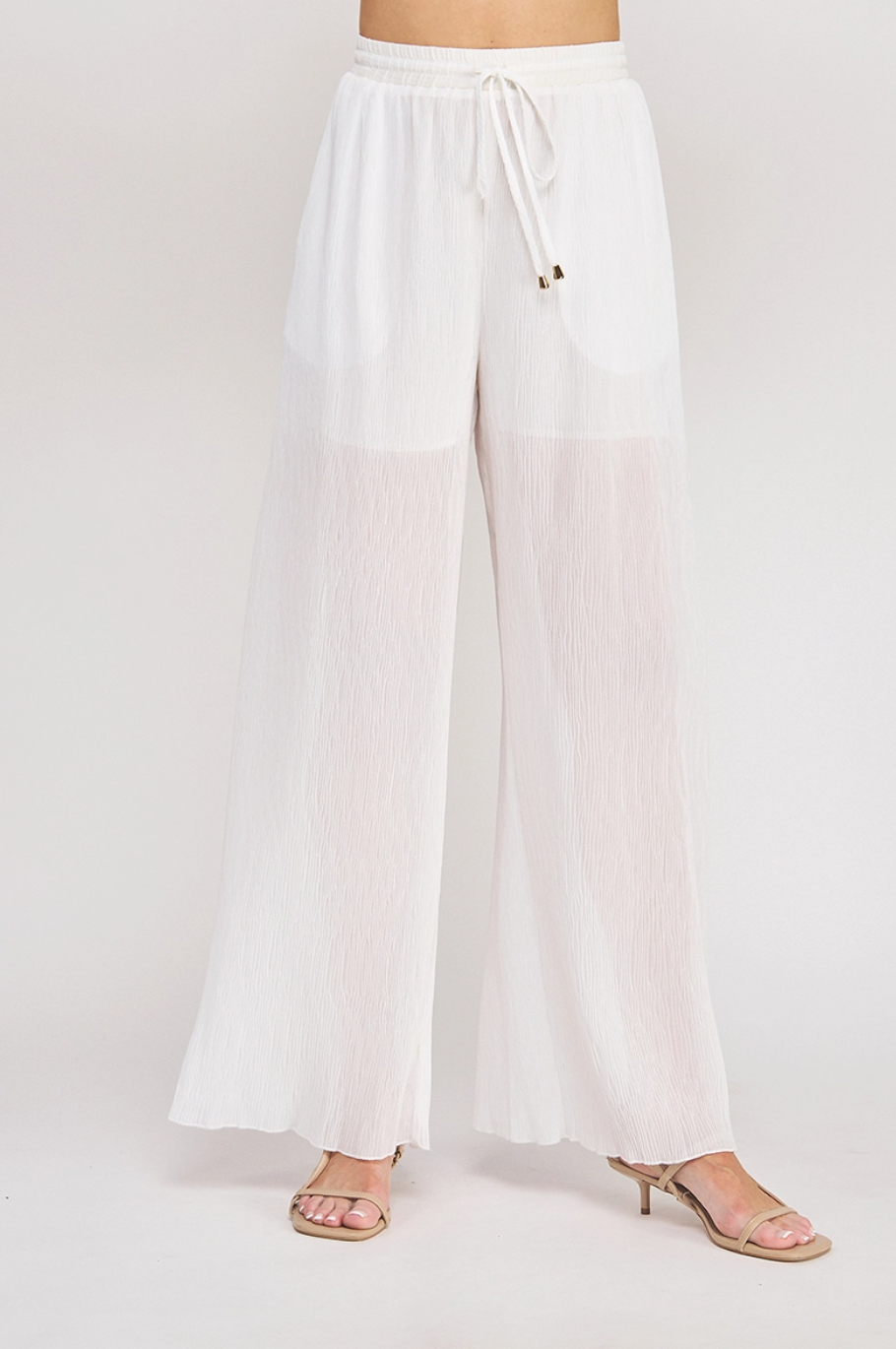 Pleated Wide-Leg Woven Pant