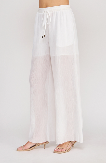 Pleated Wide-Leg Woven Pant