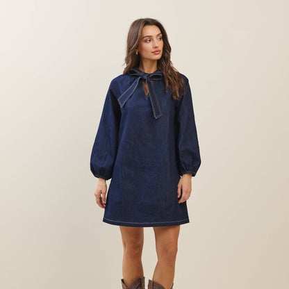 Bow denim mini dress